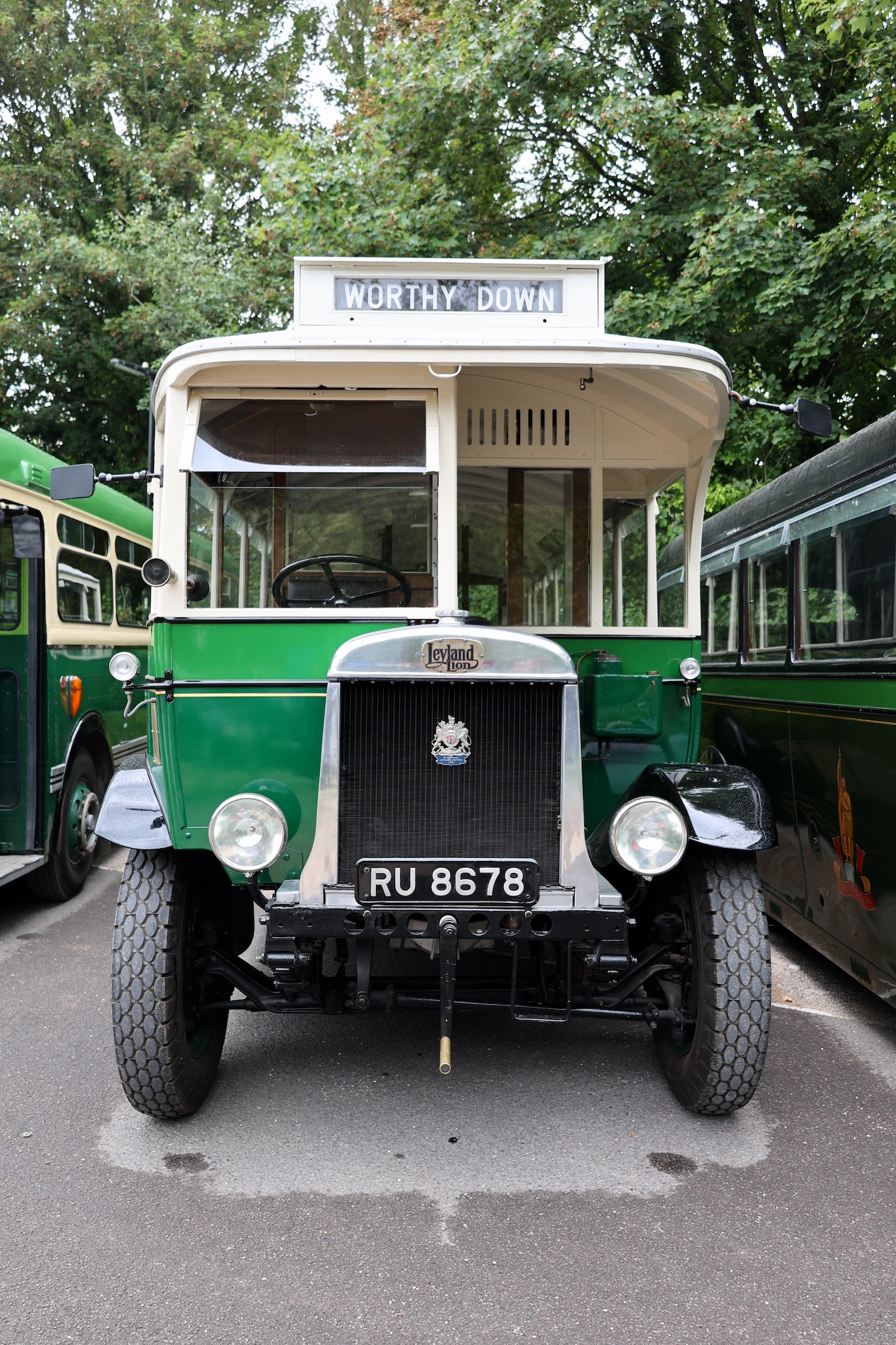 RU 8678 - Leyland Lion